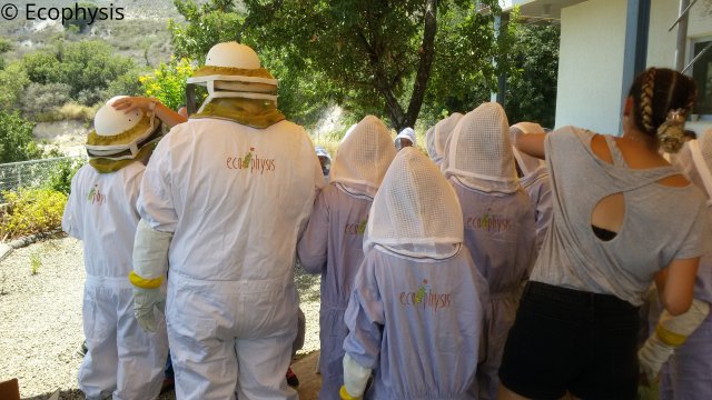 summer school1_beekeeping